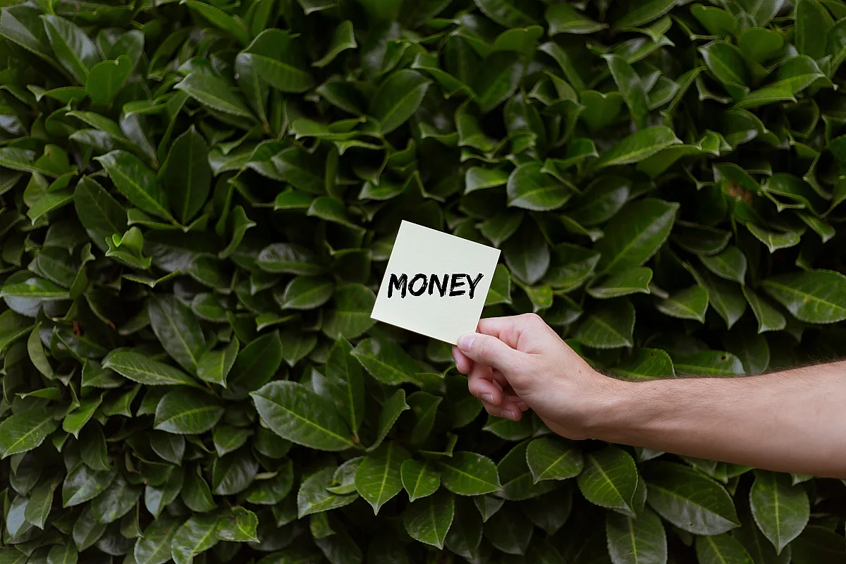 Can a Modern LMS Reduce Training Costs for My Company?